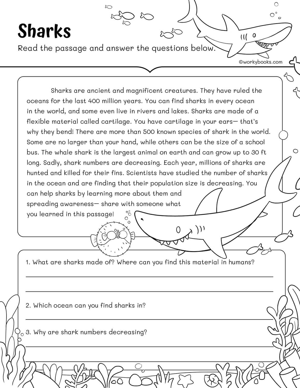 10 Free 3rd Grade Reading Fluency Passages Workybooks Worksheets Library