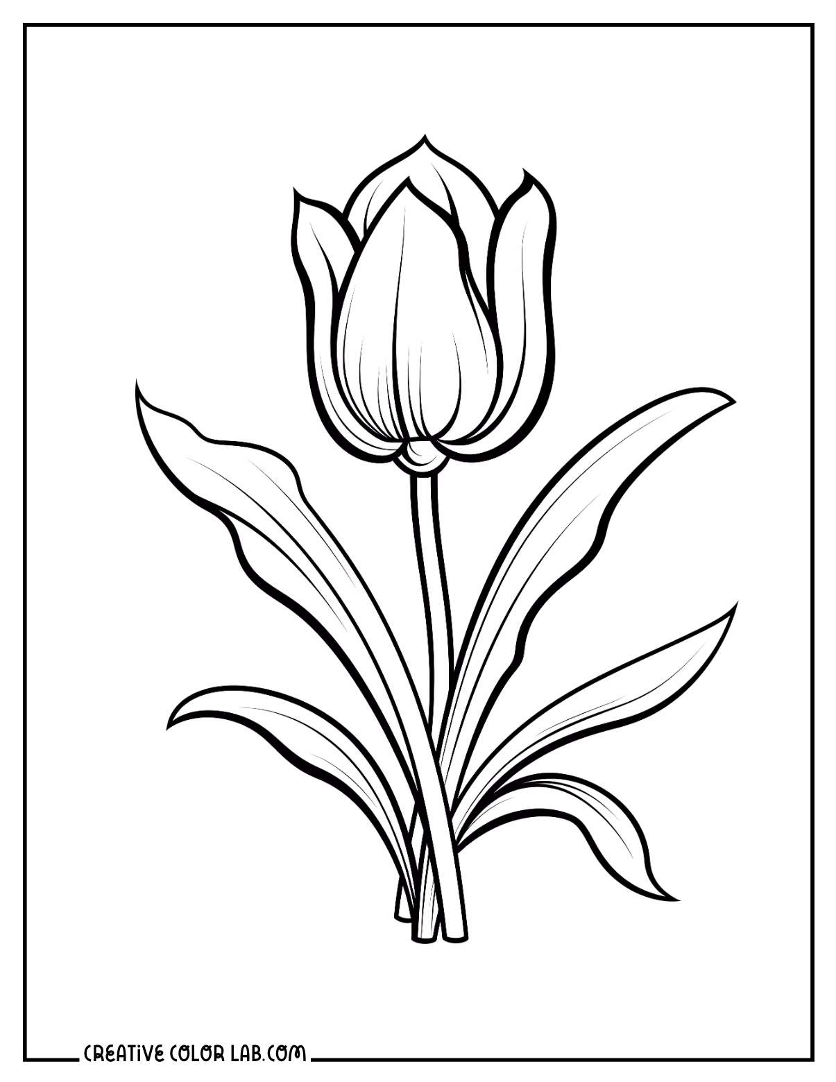 13 Tulip Coloring Pages Free PDF Printables