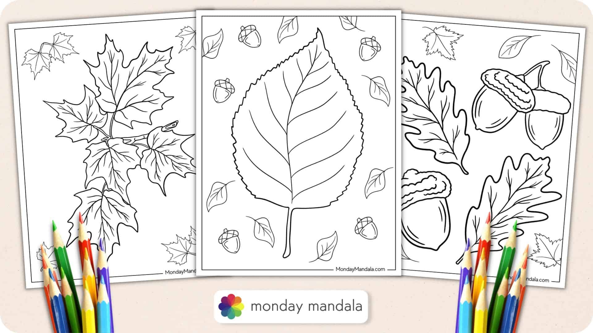 20 Fall Leaves Coloring Pages Free PDF Printables 