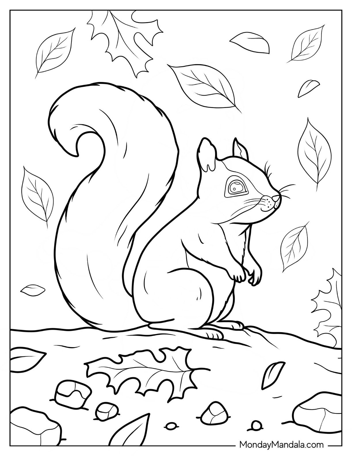20 Squirrel Coloring Pages Free PDF Printables 