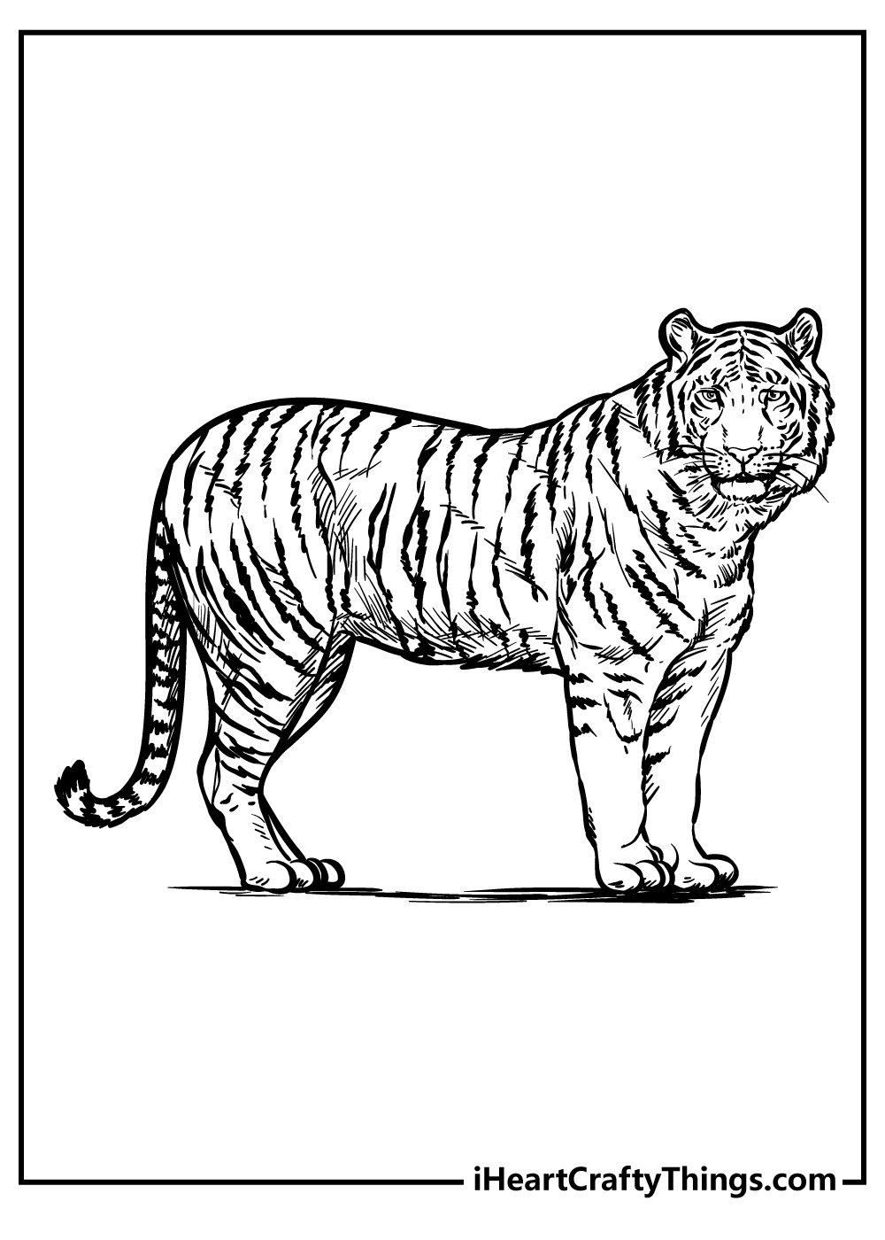 200 Zoo Animals Coloring Pages 100 Free Printables 