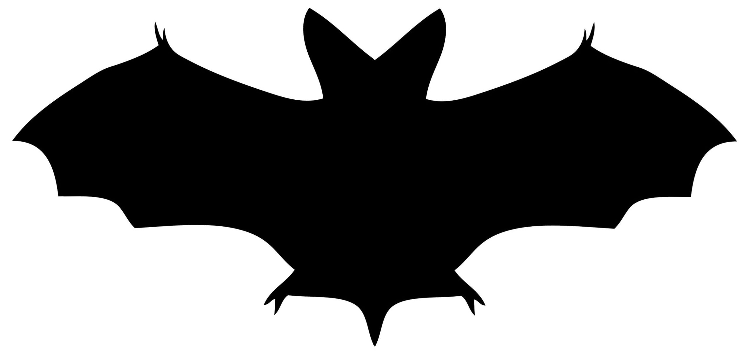 Free Printable Bat