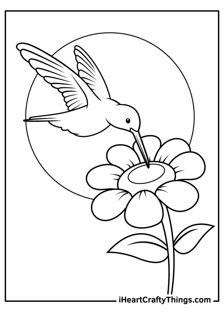 25 Hummingbird Coloring Pages 100 Free Printables 