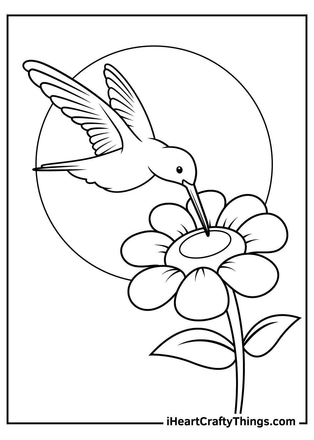 25 Hummingbird Coloring Pages 100 Free Printables 