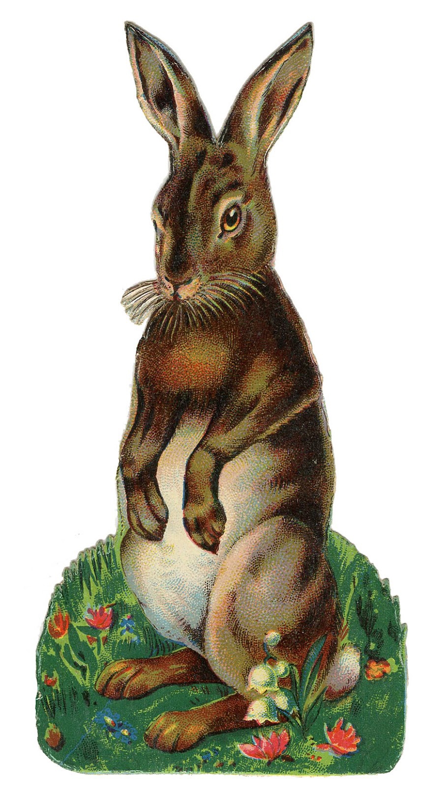 28 Easter Bunny Images Free Pictures The Graphics Fairy