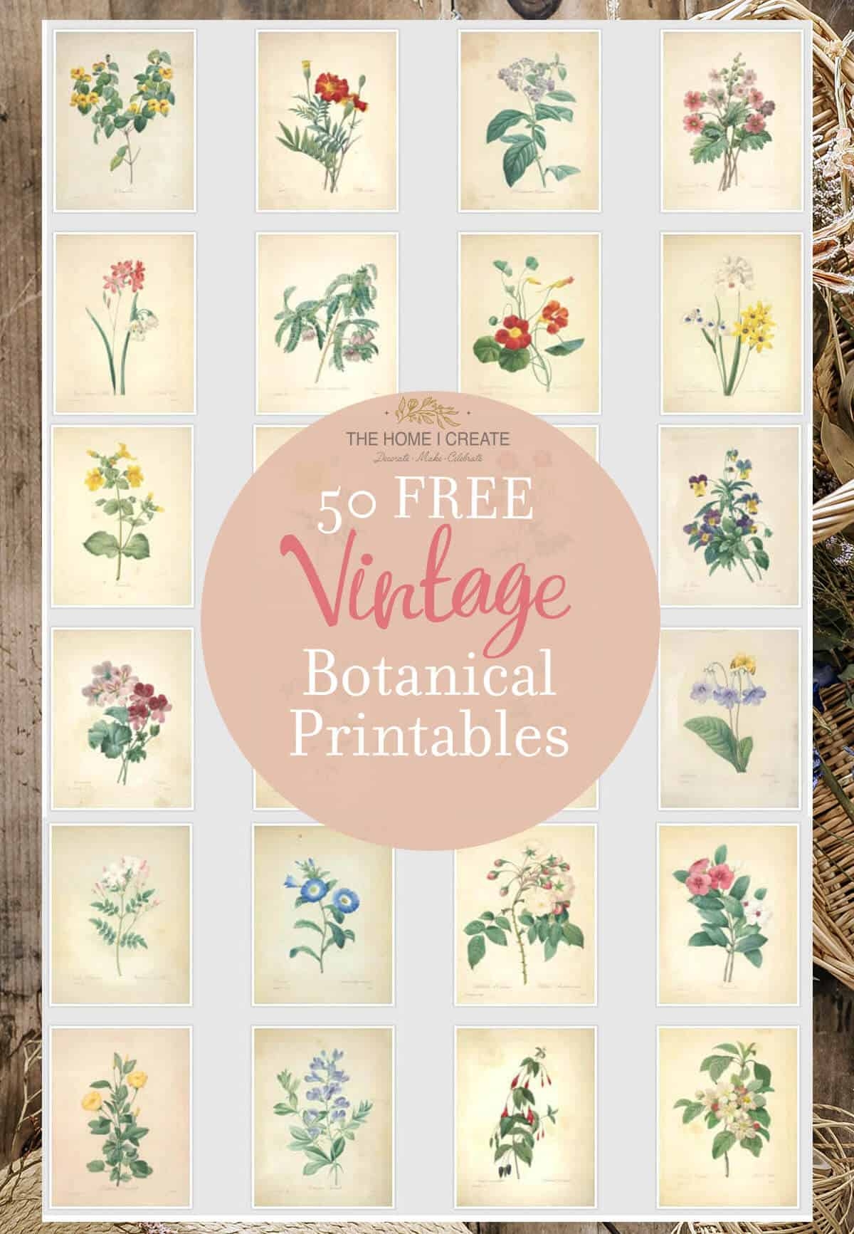 Free Printable Floral Pictures