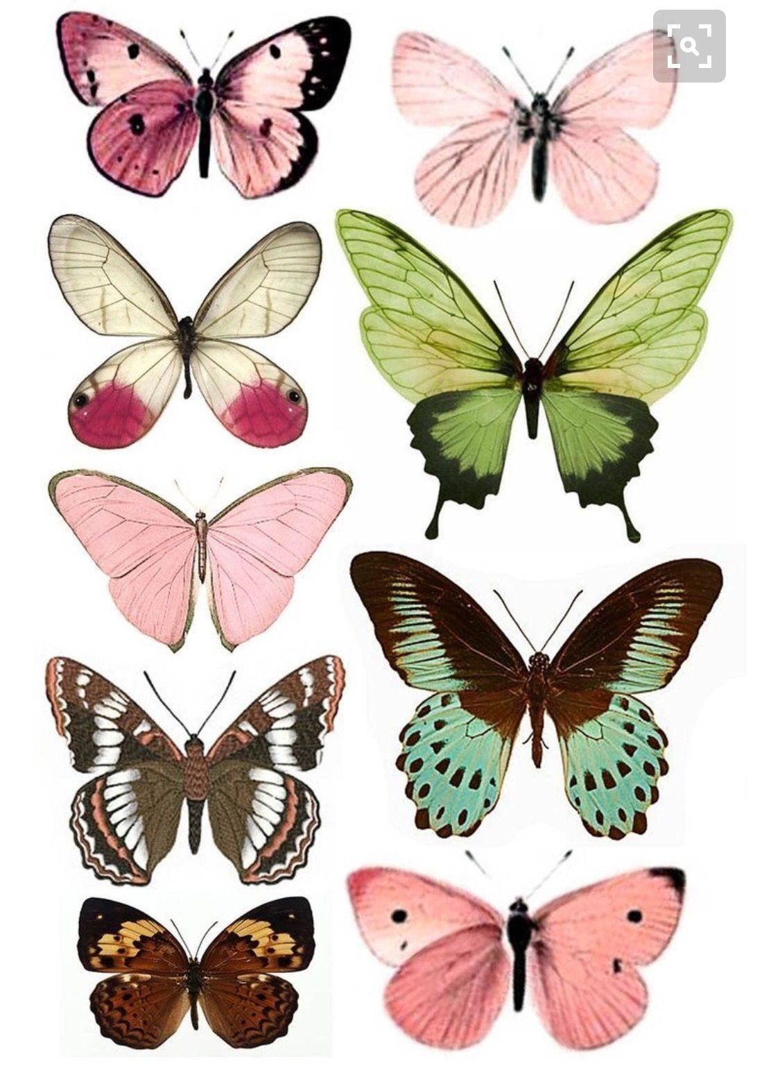 600 Printables Butterflies Ideas Printables Vintage Printables Embroidery Patterns