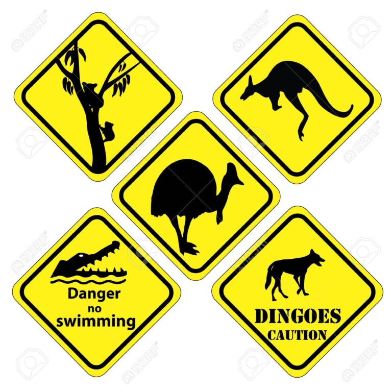 A Set Of Signs That Is Found In Different Parts Of Australia Royalty Free SVG Cliparts Vectors And Stock Illustration Image 29902593 