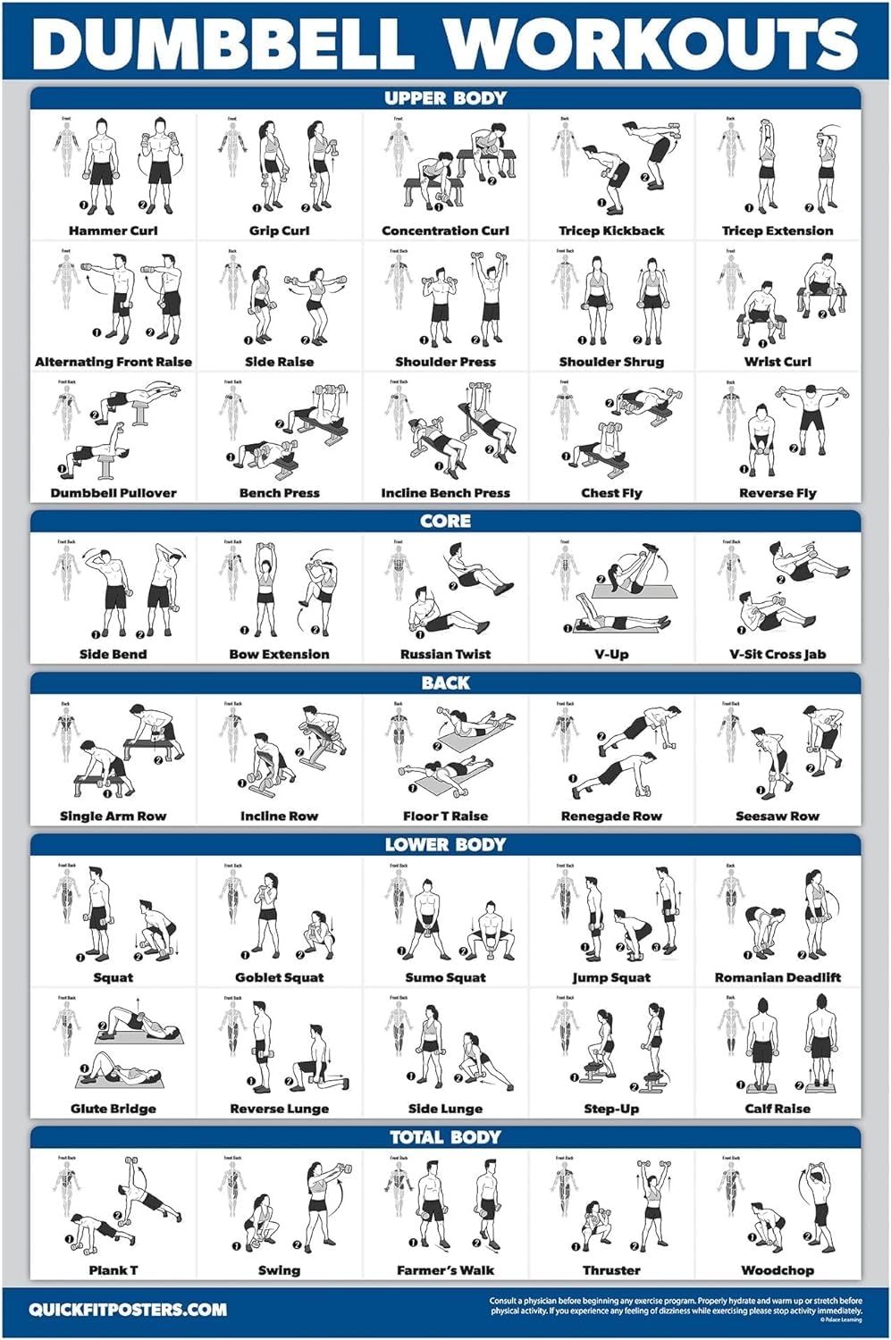 Amazon Palace Learning Dumbbell Workout Exercise Poster Free Weight Body Building Guide Home Gym Chart LAMINATED 18