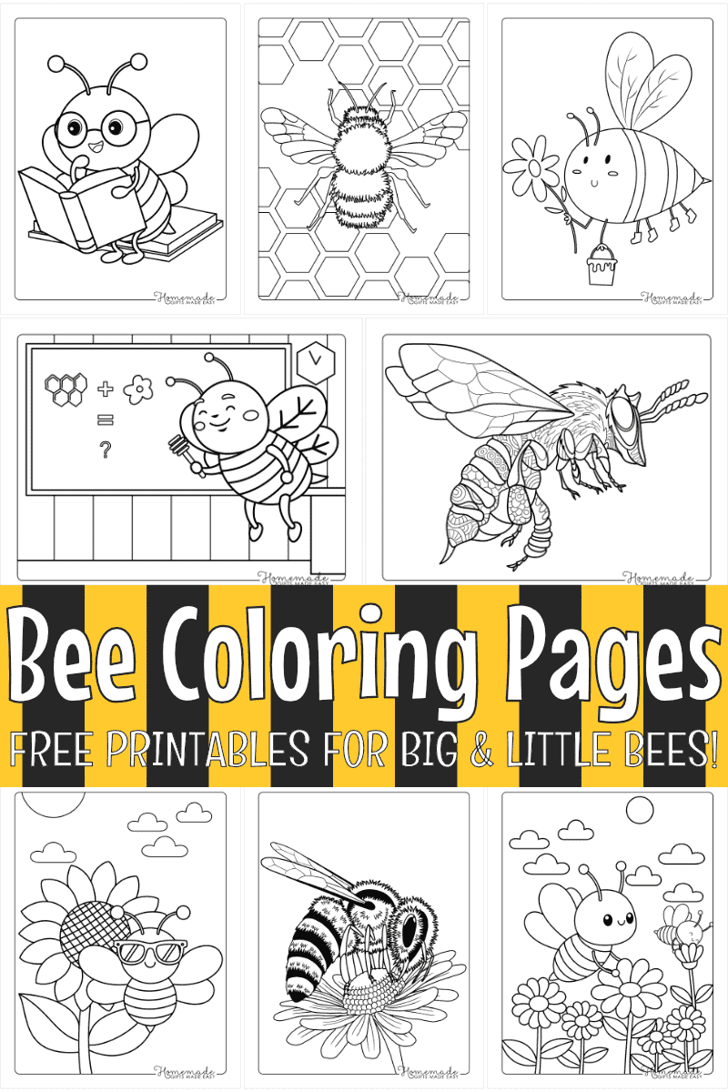 Free Printable Bumble Bee Coloring Page