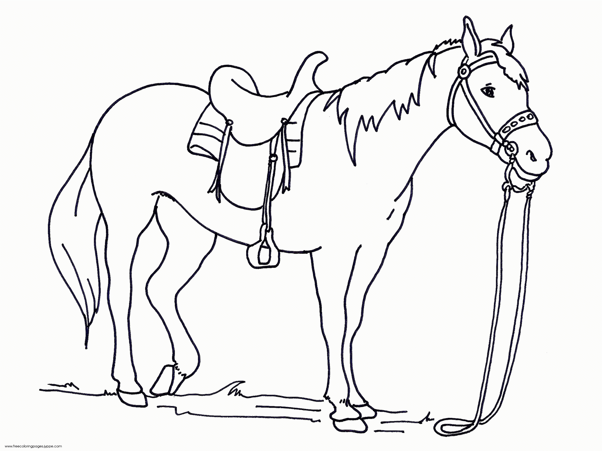 Big Printable Coloring Page Horses Page For All Ages Coloring Worksheets Library