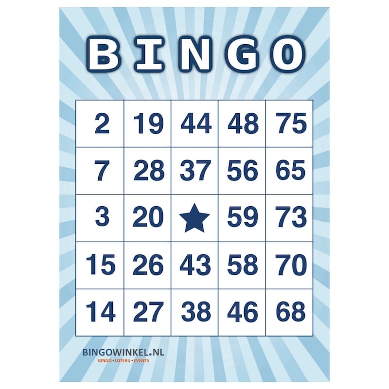 Bingo Cards Cardboard Blue Sturdy And Cheap I Bingowinkel nl