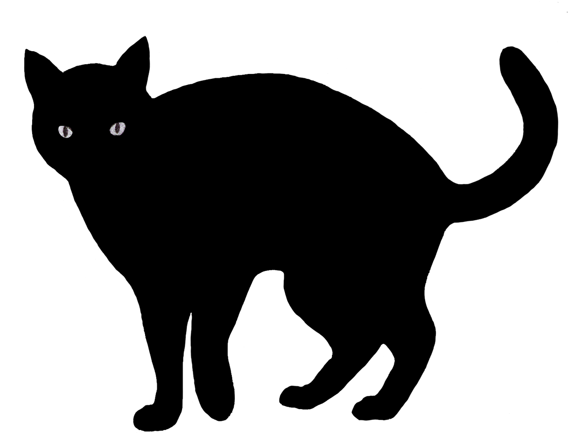 Black Big Cat PNG Transparent Image Download Size 1181x890px
