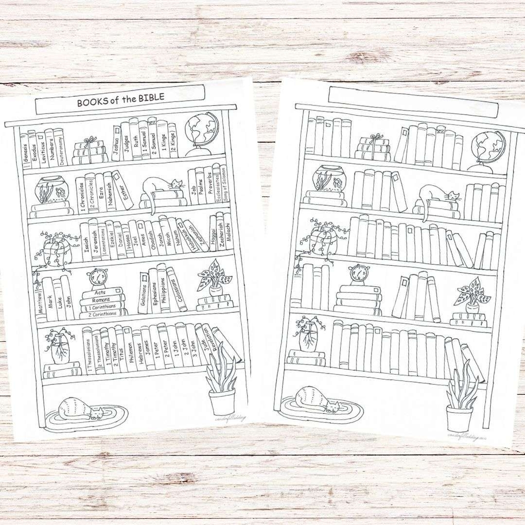 Blank Bookshelf Printable Free