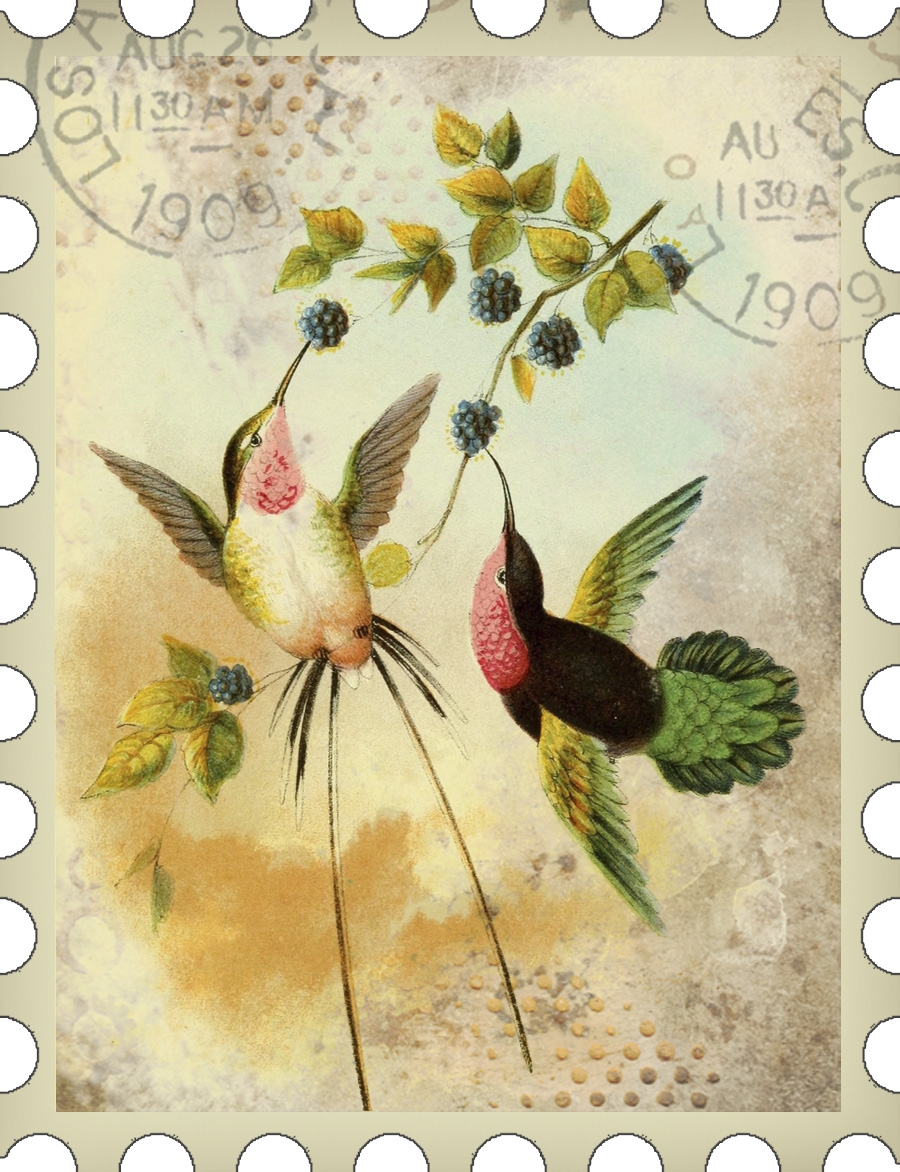 Bountiful Heirlooms Free Printables 
