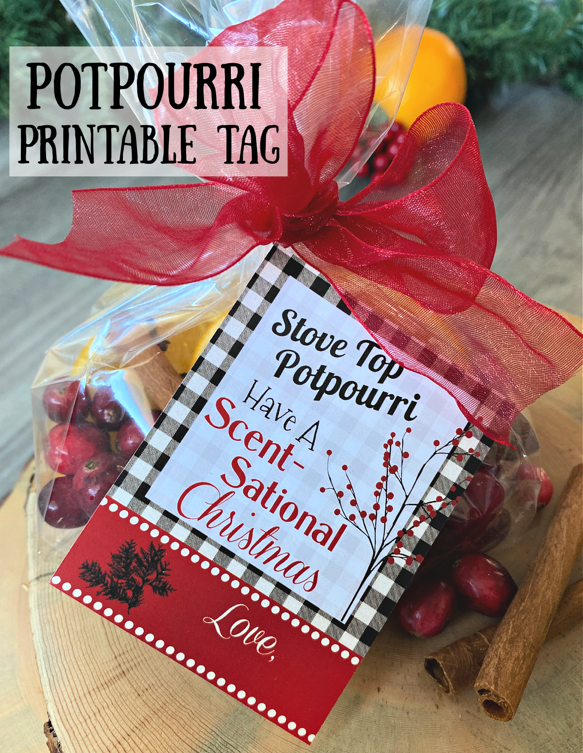 Christmas Potpourri With Printable Tag Fun Squared