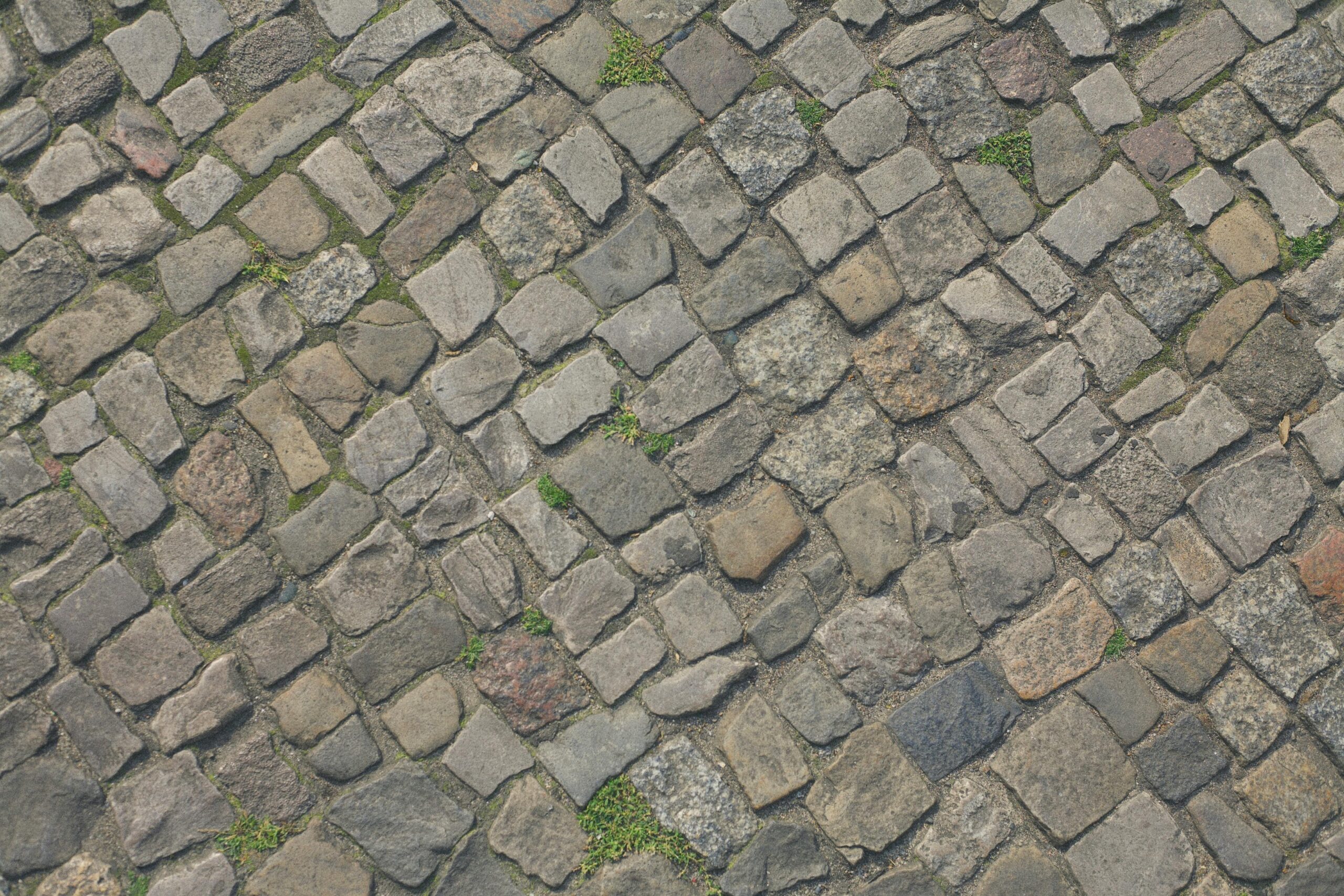Cobblestone On Pavement Free Stock Photo