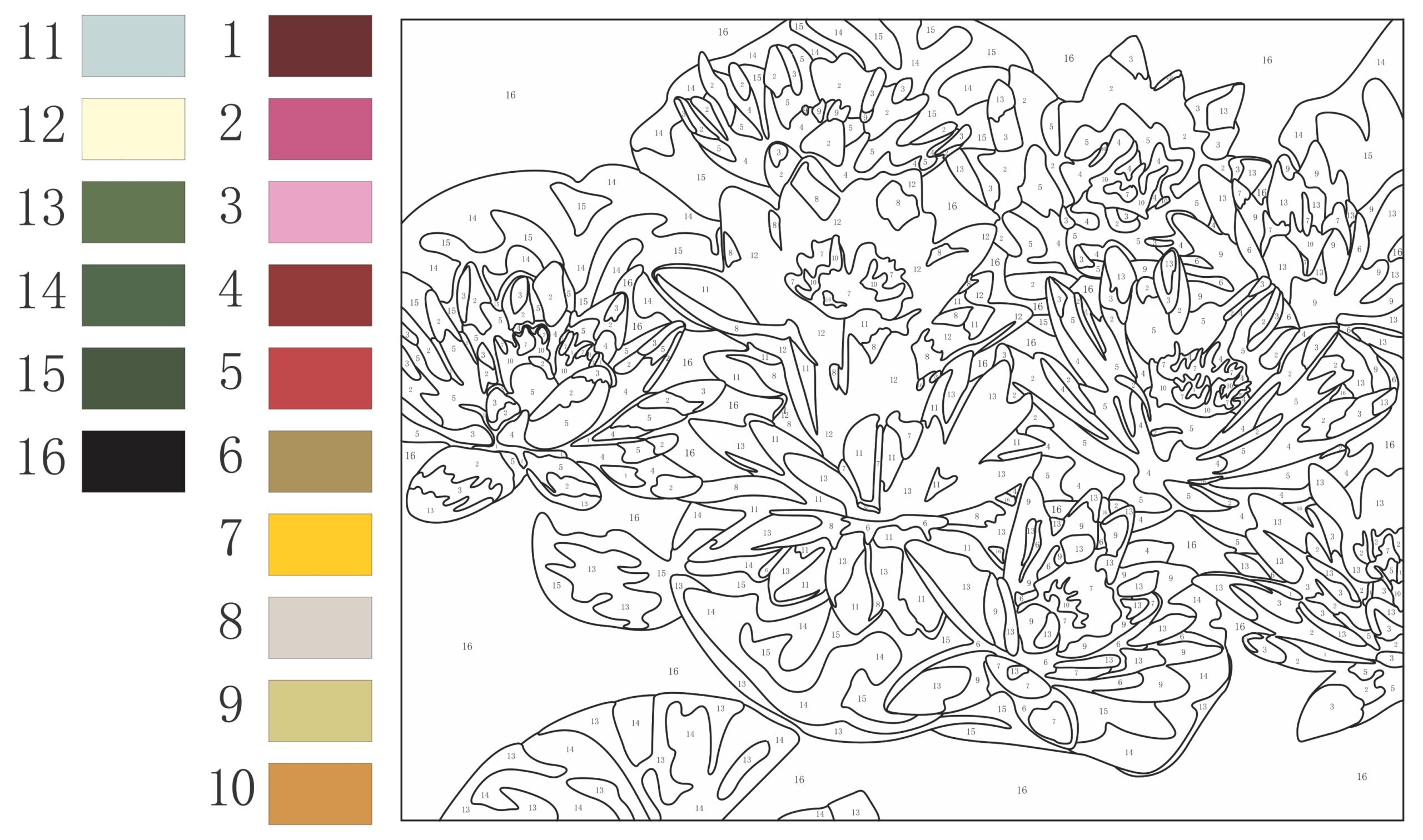 Color By Number Painting For Adults
