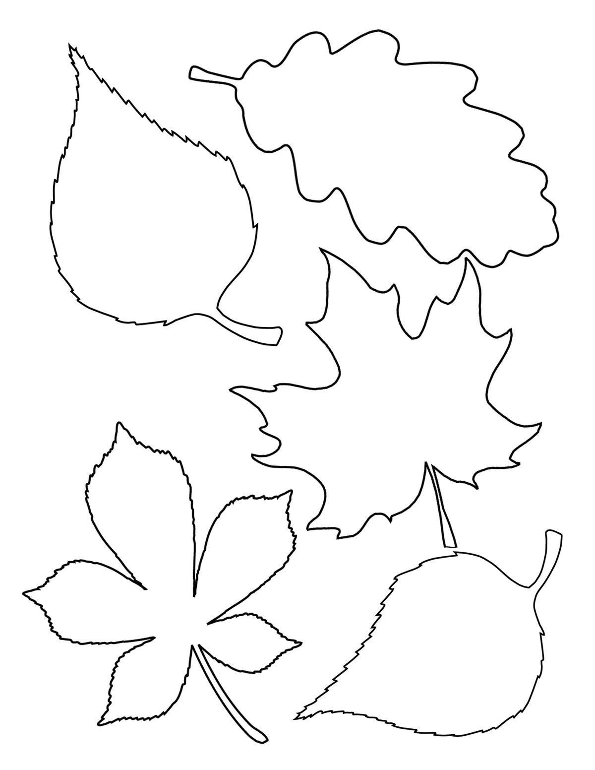 Coloring Pages Autumn Leaves Coloring Pages Fantastic Photo 