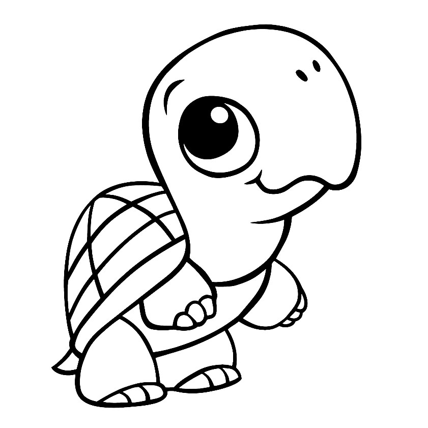 Free Printable Turtle Coloring Pages