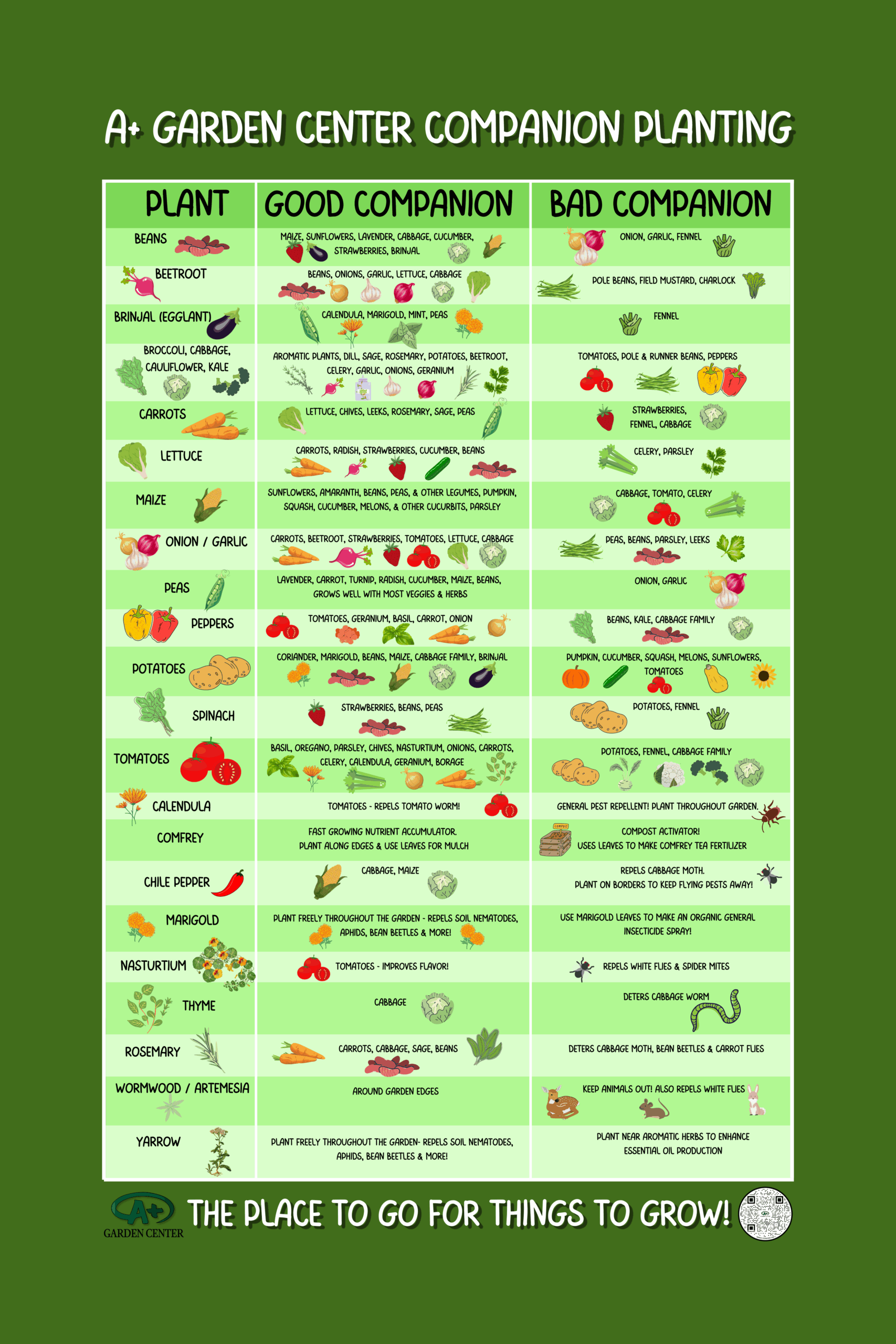 COMPANION PLANTING AND PLANT SPACING CHART A Garden Center 