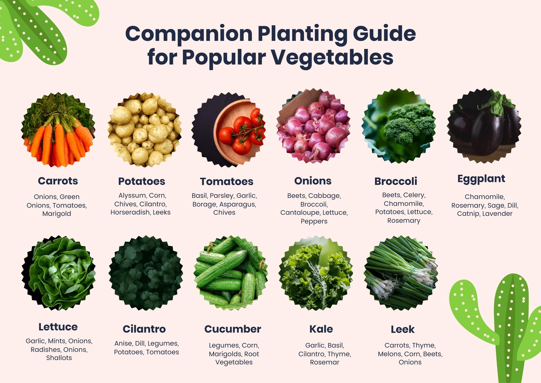 Companion Planting Chart For Popular Vegetables In PDF 