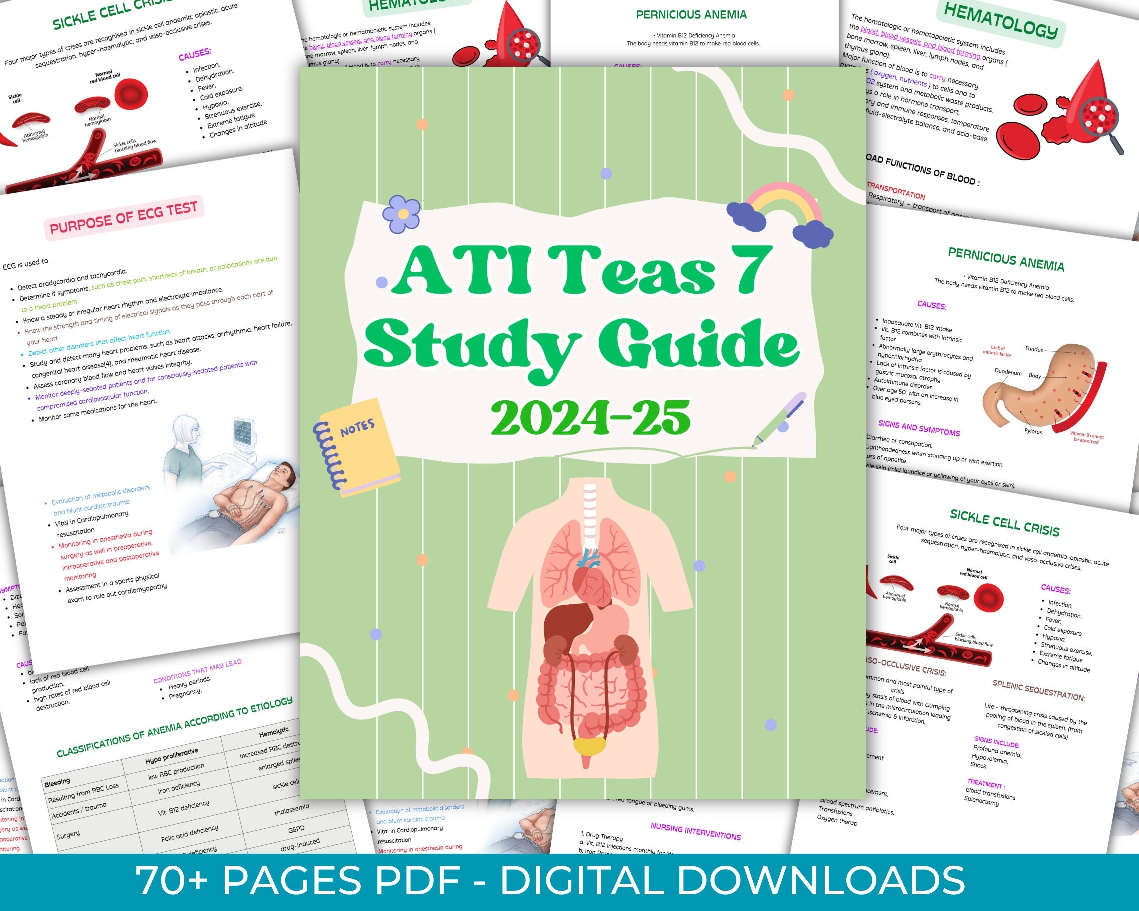Complete ATI Teas 7 Study Guide 2024 Updated ATI TEAS 7 Study Cheat Sheet Med Surg Nursing Student Nursing Notes Nursing Study Guide Etsy