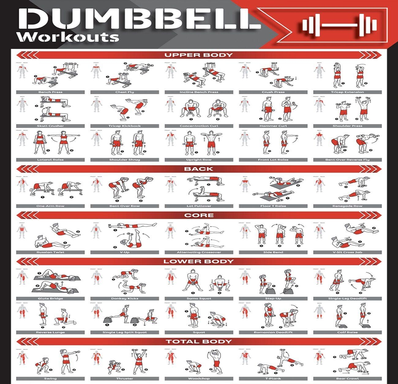 Dumbbell Workout Chart