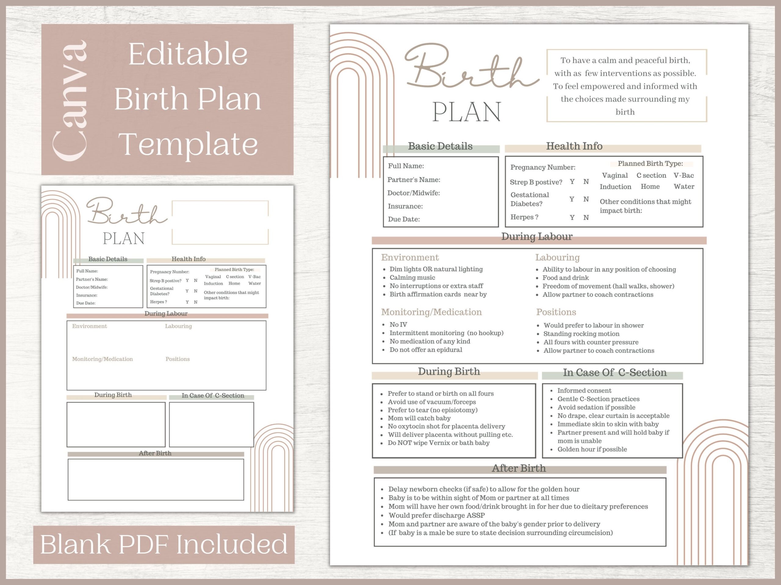 Editable Birth Plan Template Printable Birthing Plan Labour And Delivery Preferences Template Etsy