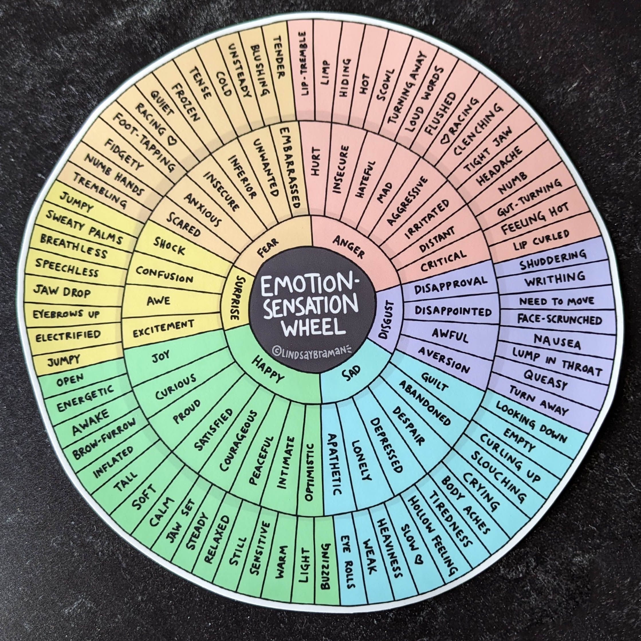 Emotion Sensation Feeling Wheel Handout By Lindsay Braman