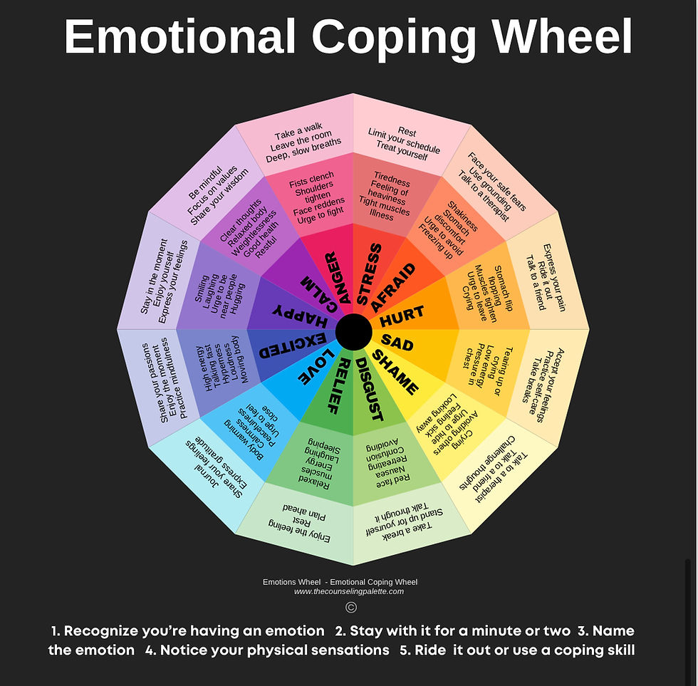 Emotion Wheel PDF Worksheet Poster Emotions Wheel Chart Feeling PDF Counseling Palette
