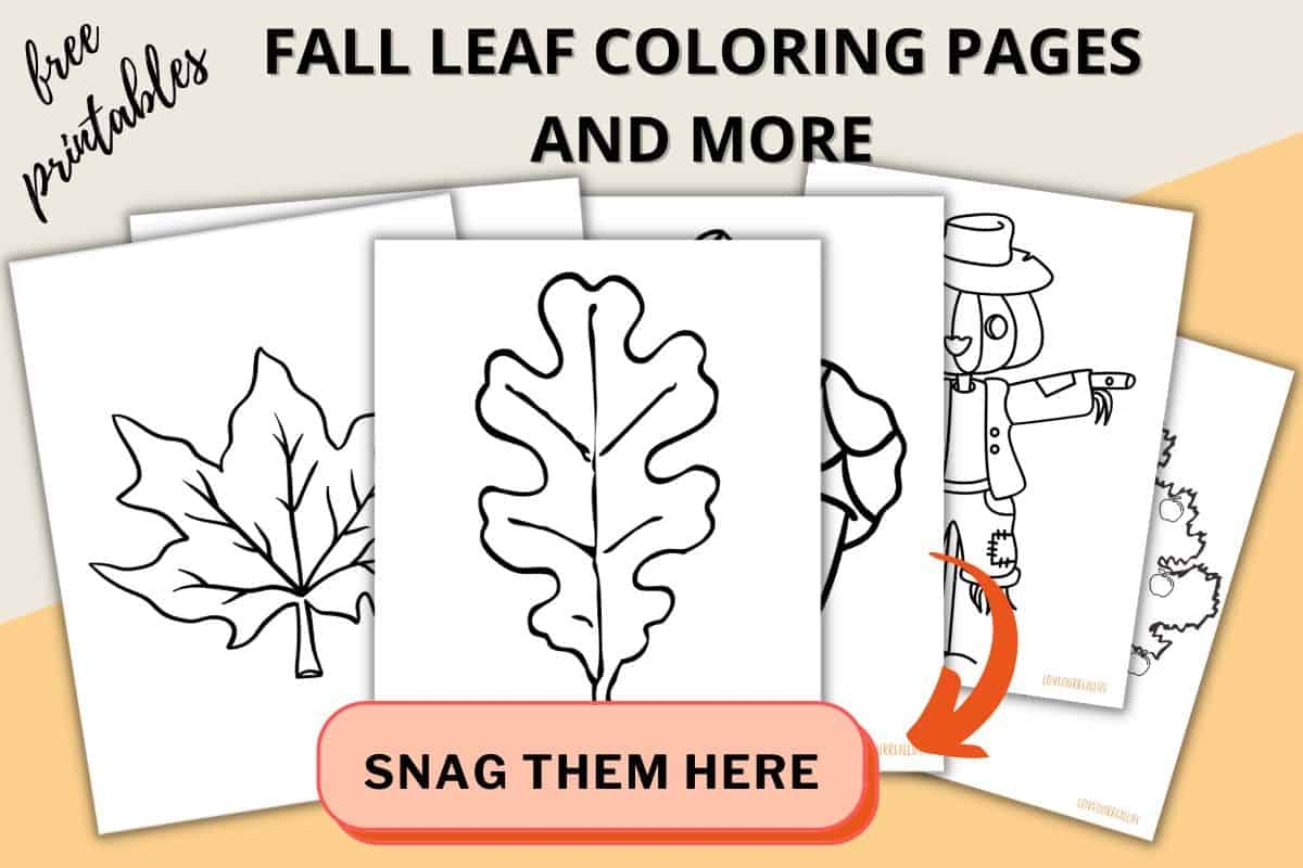 Fall Leaves Coloring Pages FREE Printable Leaf Templates Love Our Real Life