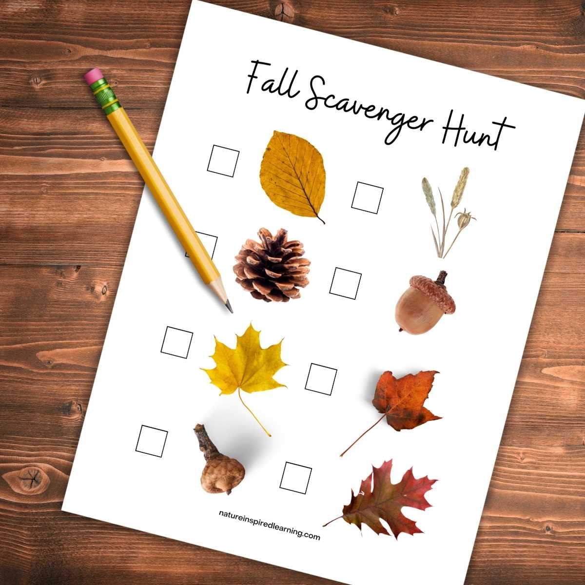 Fall Scavenger Hunt Nature Inspired Learning