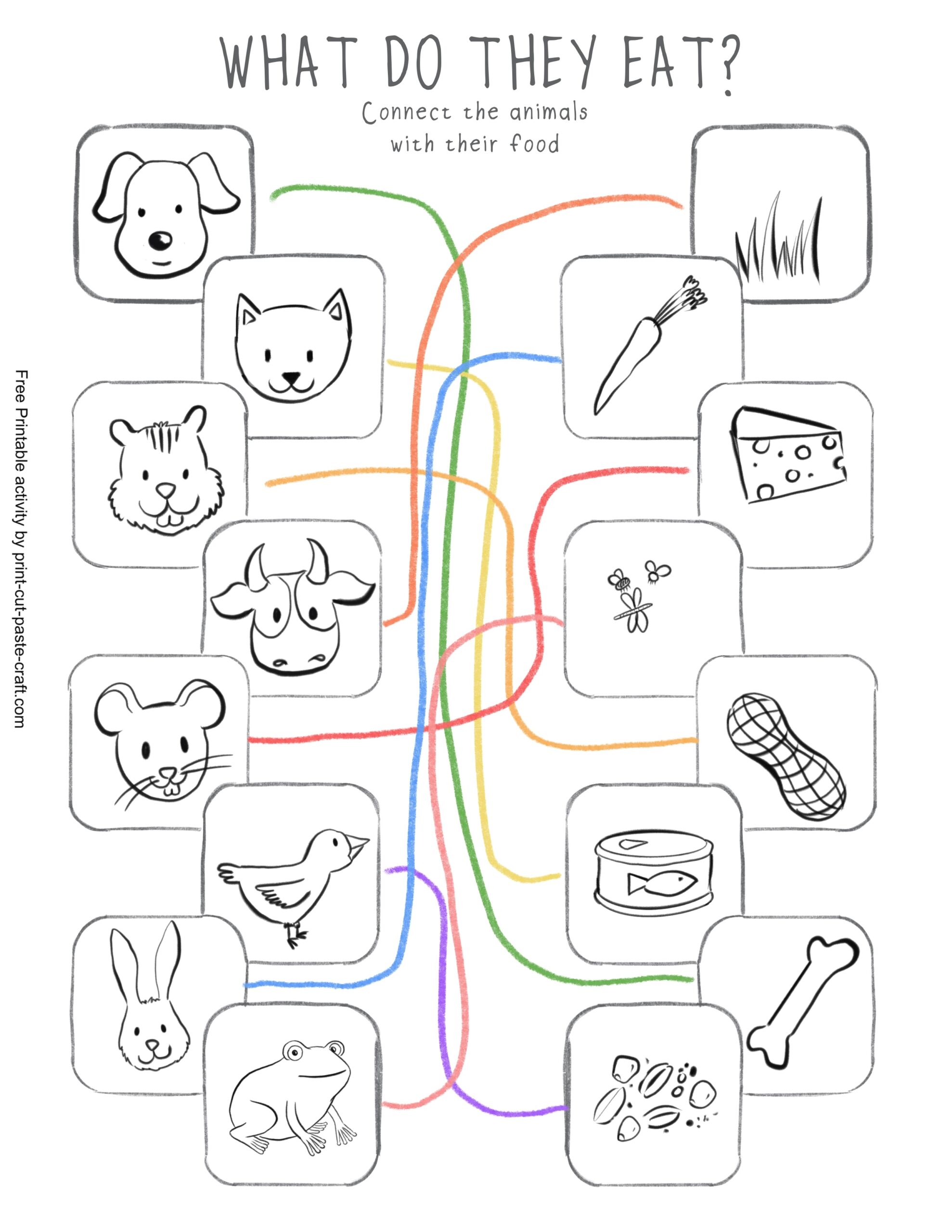 Feed The Animals Free Printable Activity Worksheet Print Cut Paste Craft 