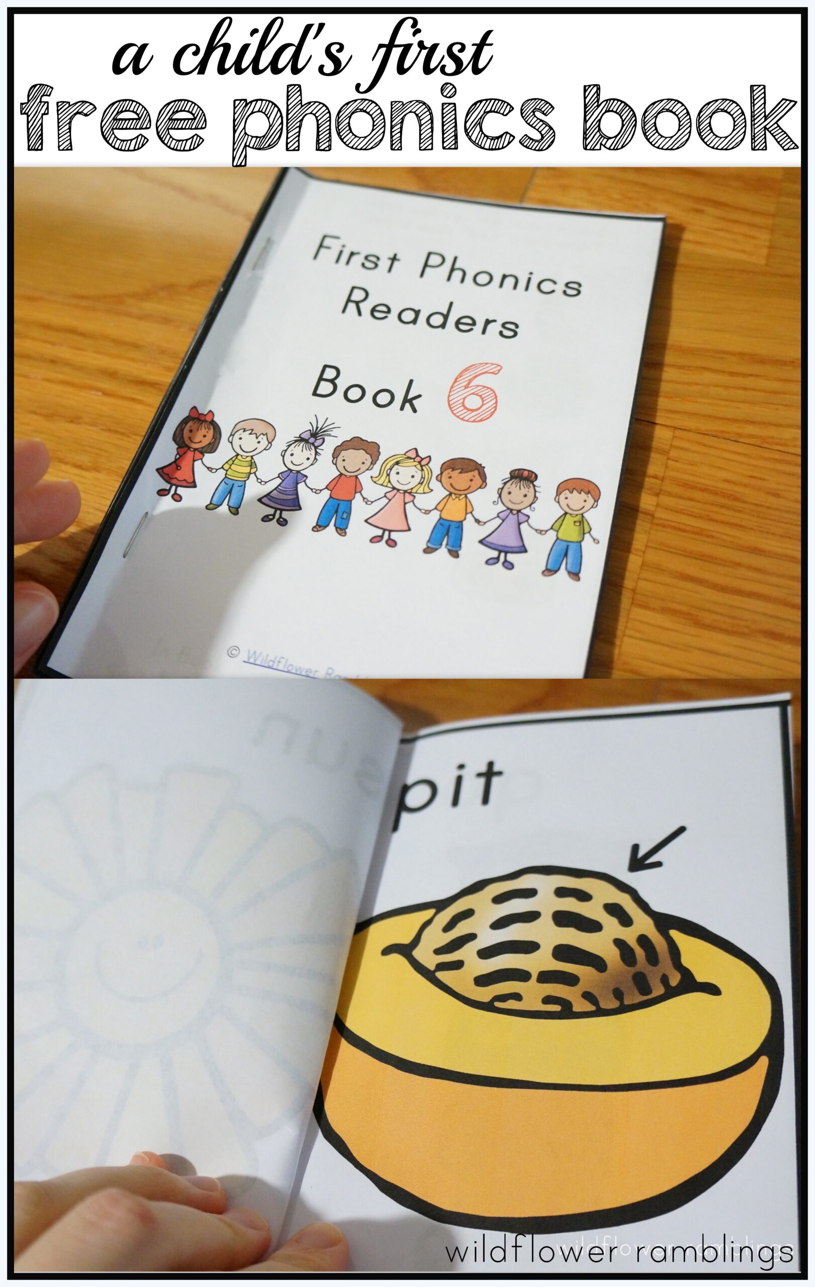 First Phonics Readers Book 6 Wildflower Ramblings