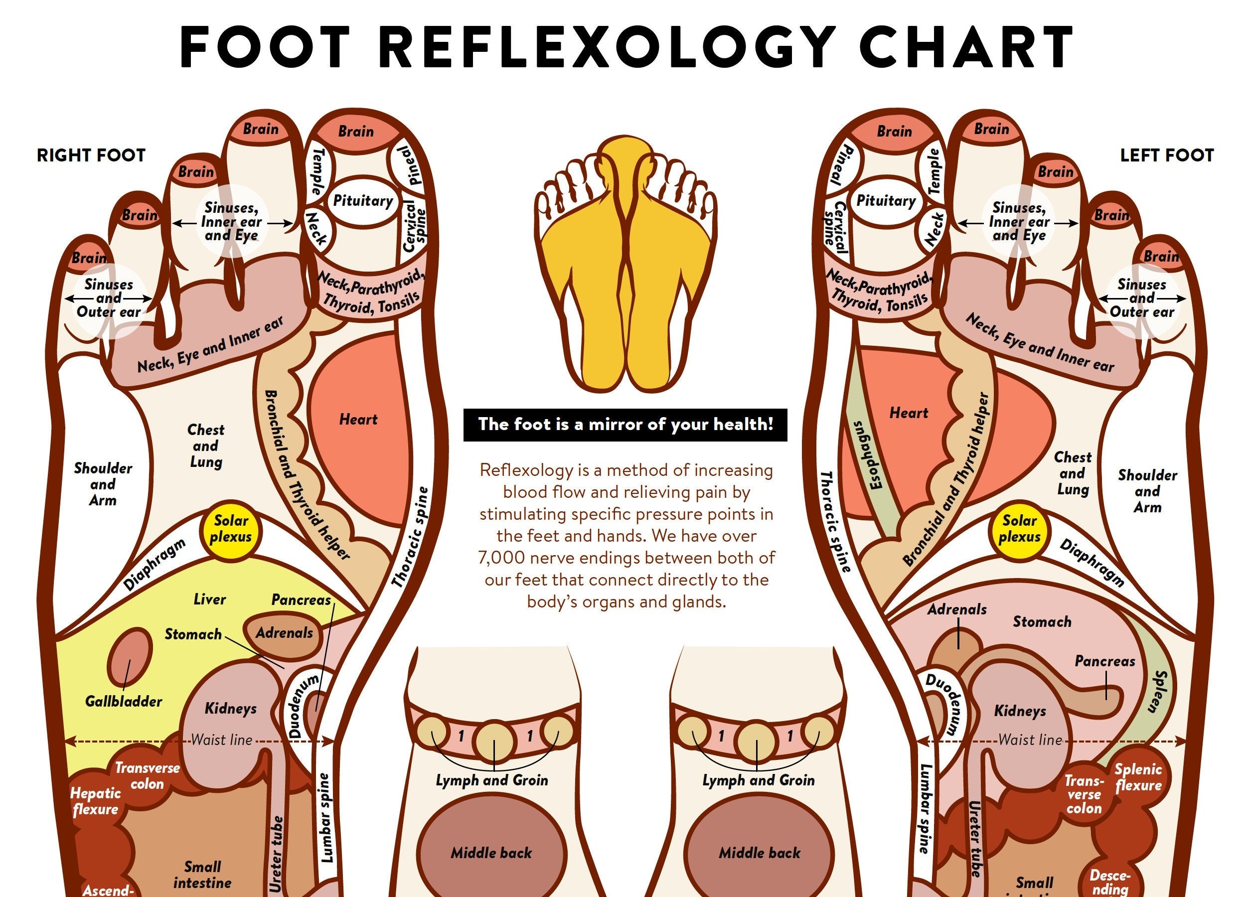 Foot Acupressure And Reflexology Chart PRINTABLE INSTANT DOWNLOAD Massage Technique Labeled Foot Map Information Chart Poster Wall Art Etsy UK