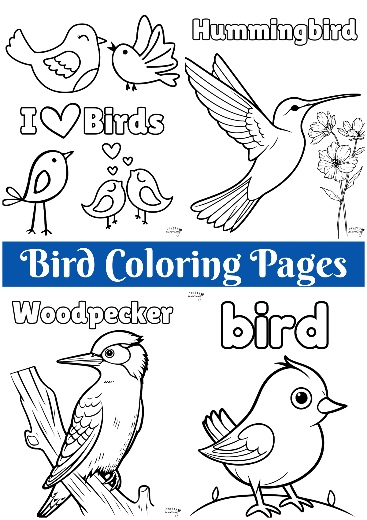 Free Printable Coloring Pages Birds