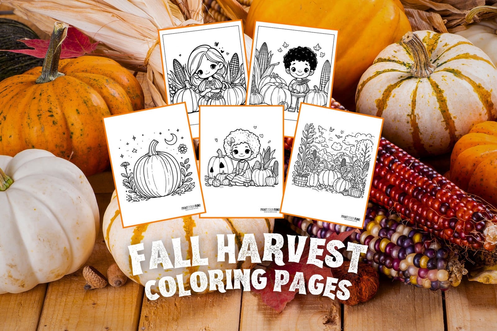 Free Fall Harvest Coloring Pages 22 Autumn Pumpkin Patches Hay Rides U0026 Corn Stalks At PrintColorFun