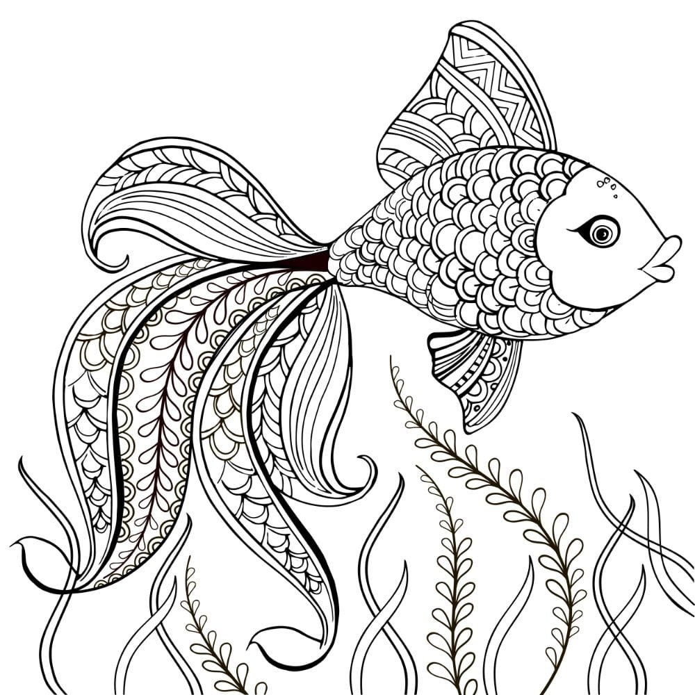 Free Fish Coloring Pages Printable