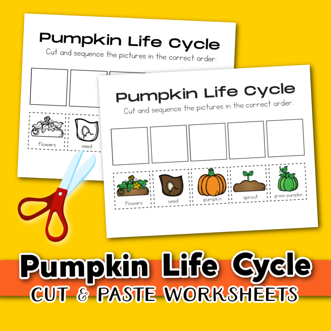 Free Life Cycle Of A Pumpkin Printable