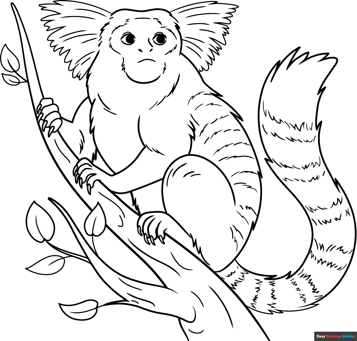 Free Printable Coloring Pages Monkeys
