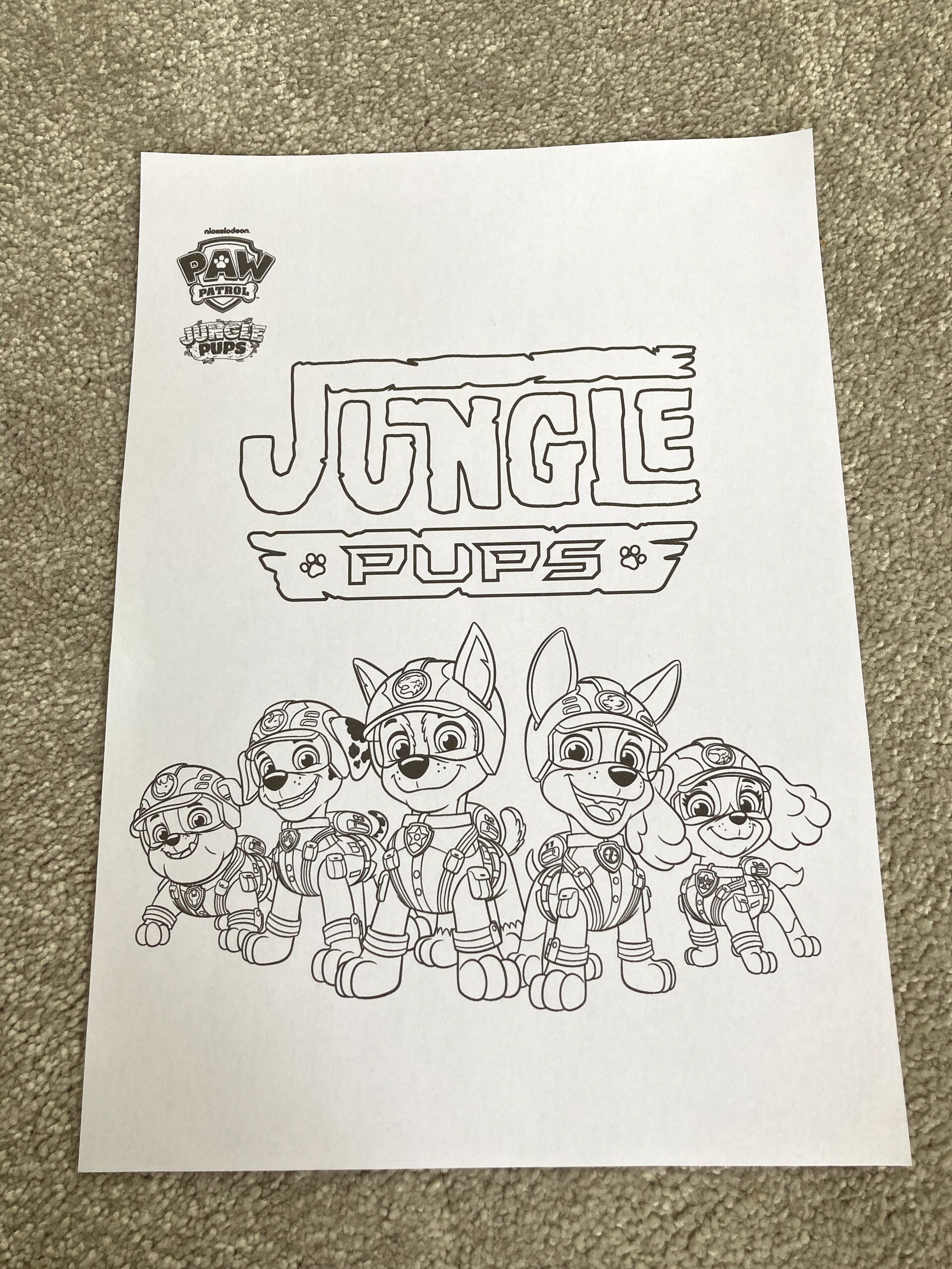 Free Paw Patrol Colouring Sheets 2025 Suzi Lewiz