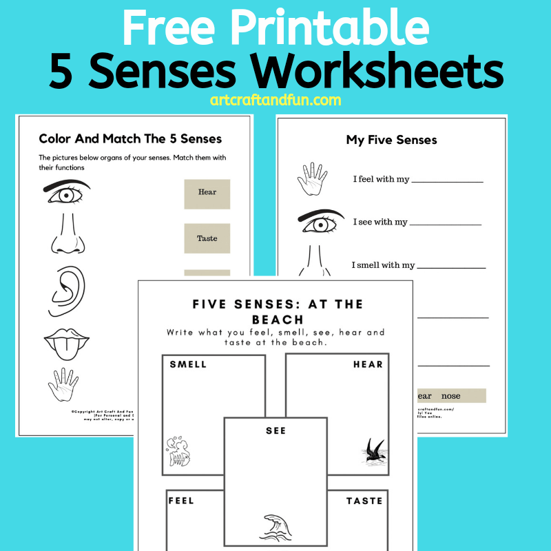 5 Senses Free Printable