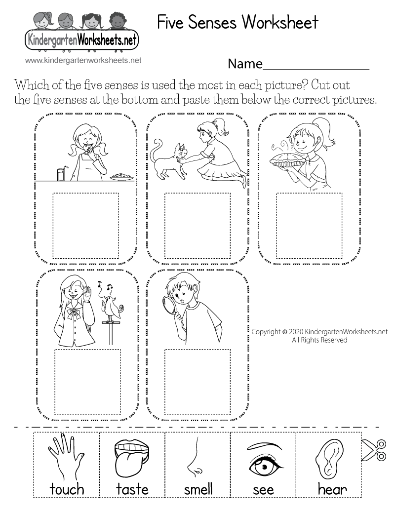 5 Senses Free Printables