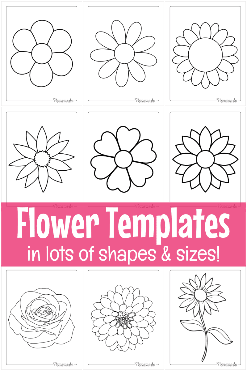 Free Printable Daisy Flower Template