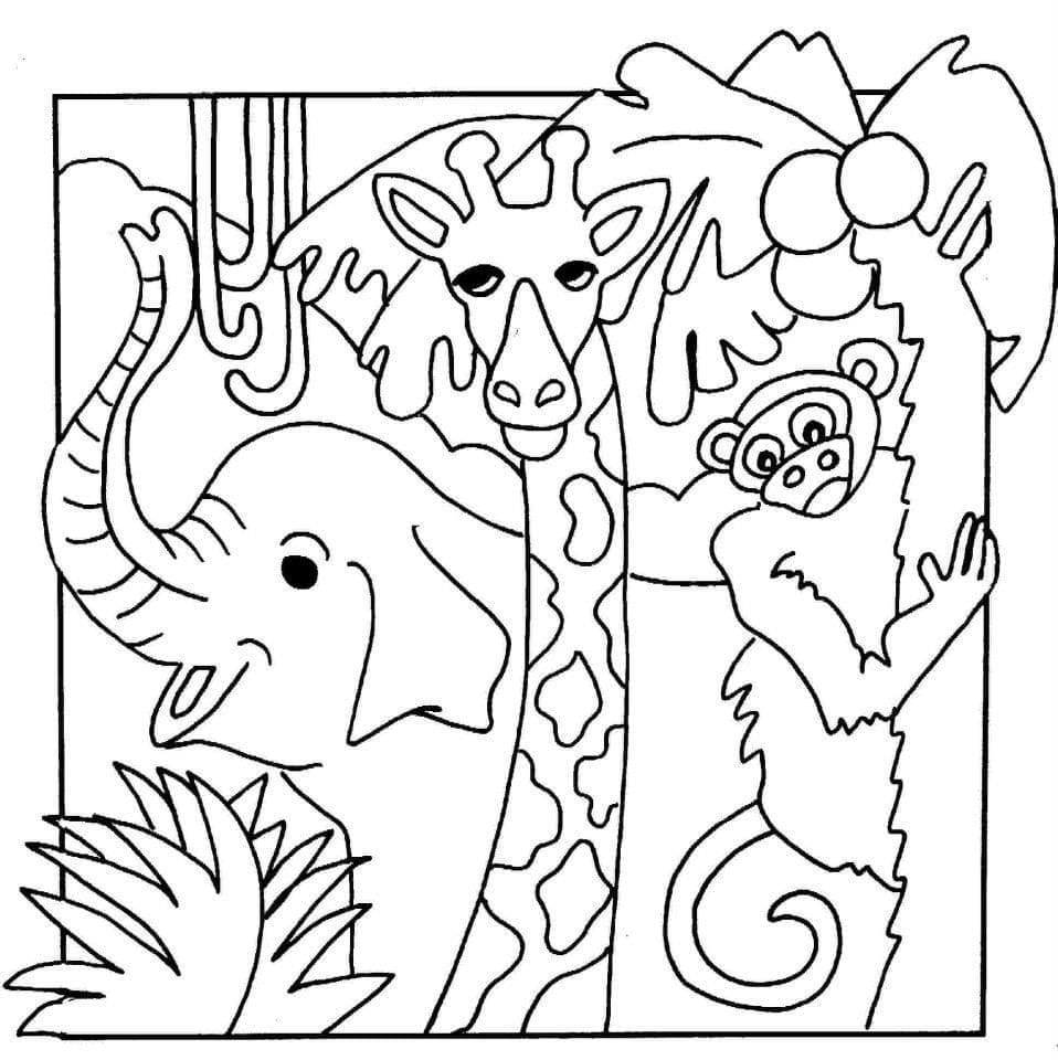 Free Printable Jungle Animals Coloring Page Download Print Or Color Online For Free