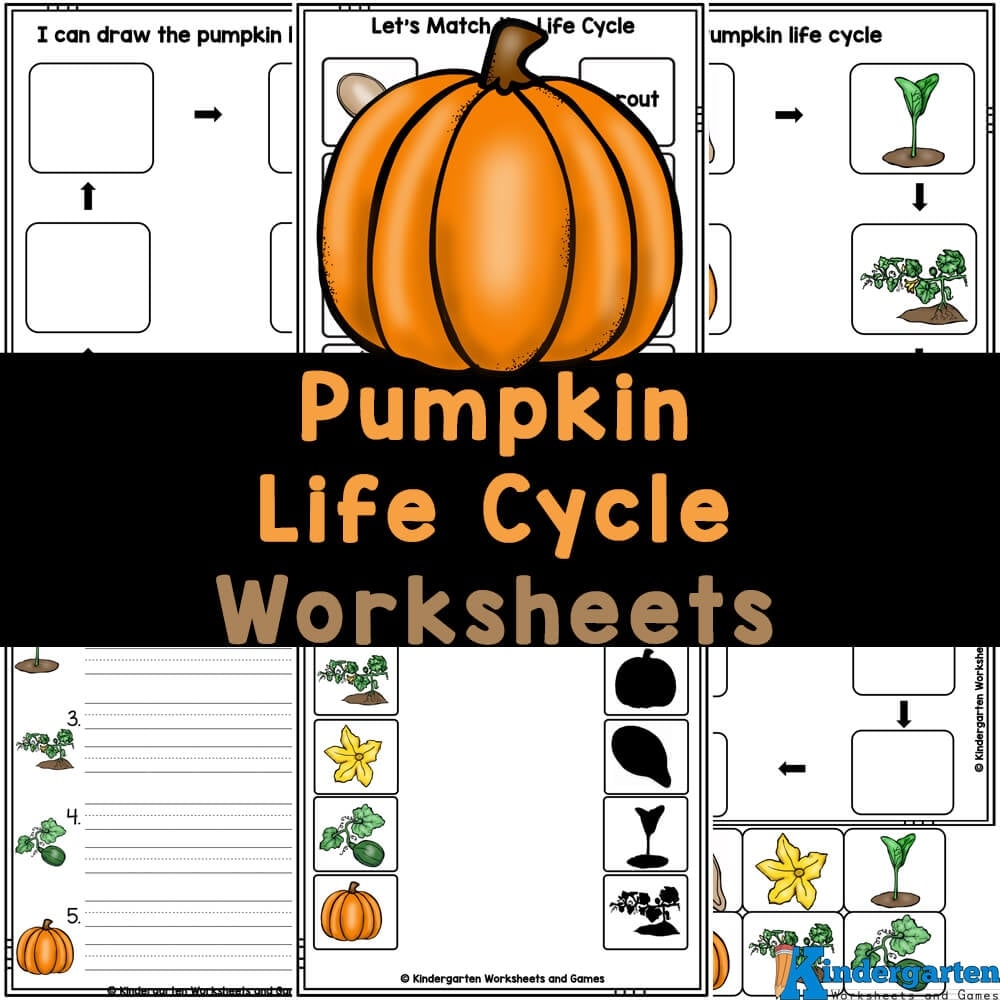Free Printable Pumpkin Life Cycle