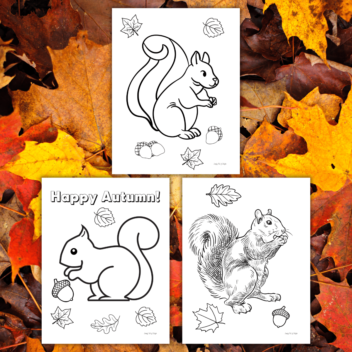 Free Printable Squirrel Coloring Pages