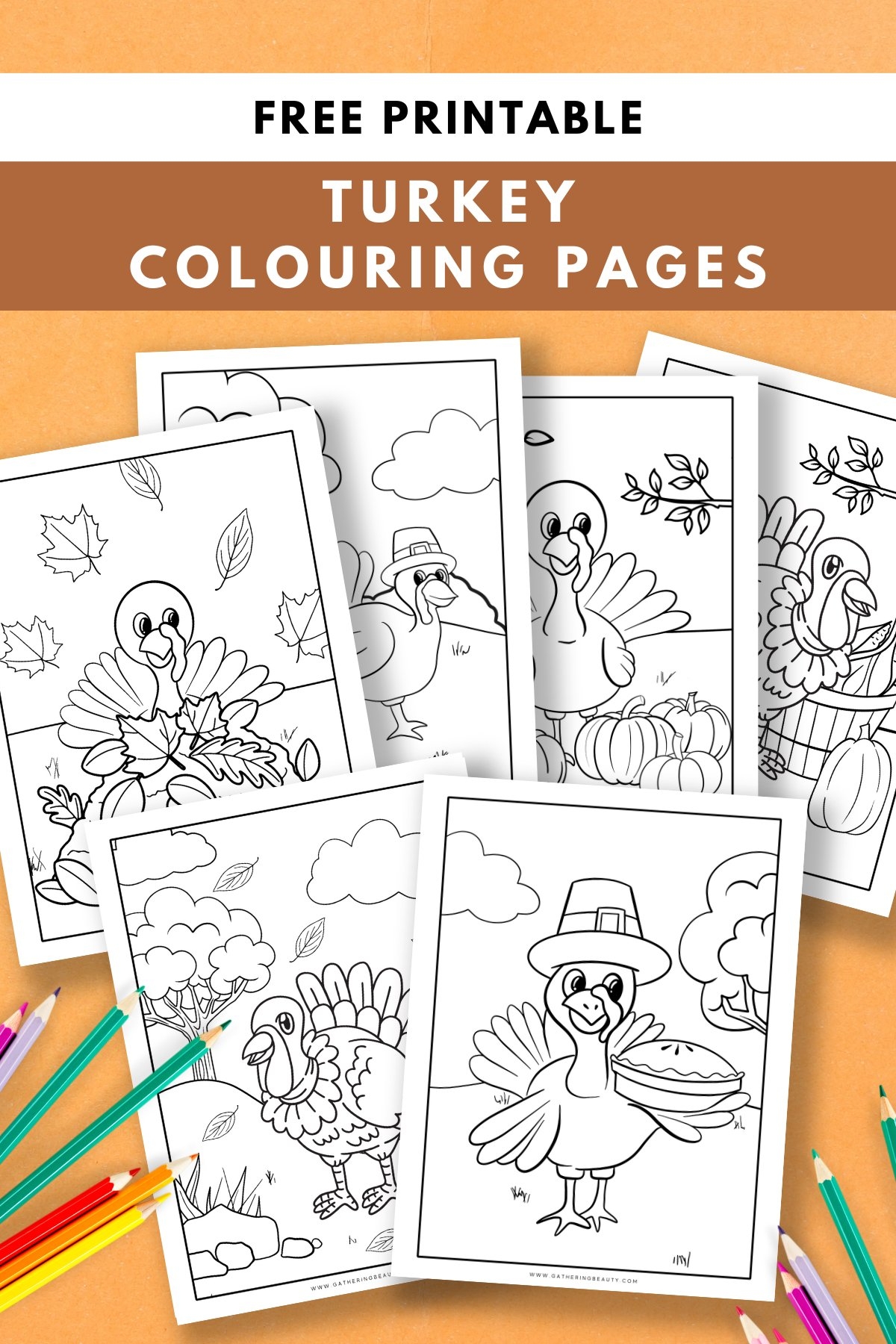Free Printable Turkey Colouring Pages Gathering Beauty