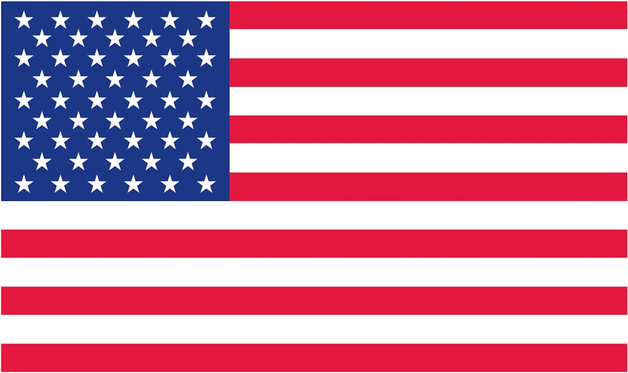 FREE Printable US Flags U0026 American Flag Color Book Pages
